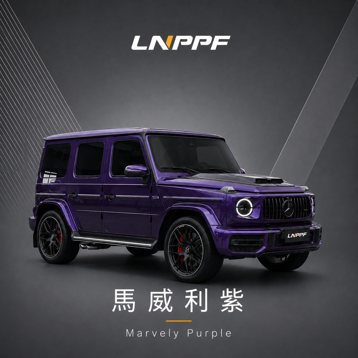 LNPPF馬威利紫